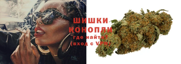 сатива Горно-Алтайск