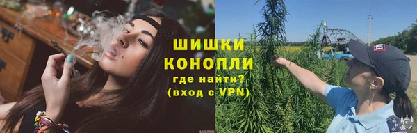 сатива Горно-Алтайск
