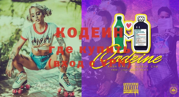 2c-b Гусев