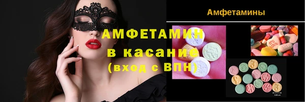 прущие грибы Тында