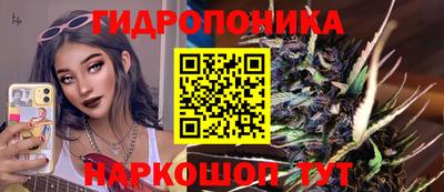 a pvp Кулебаки