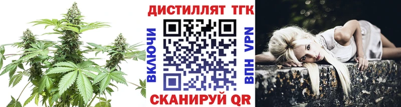 закладка Осинники ТГК концентрат
