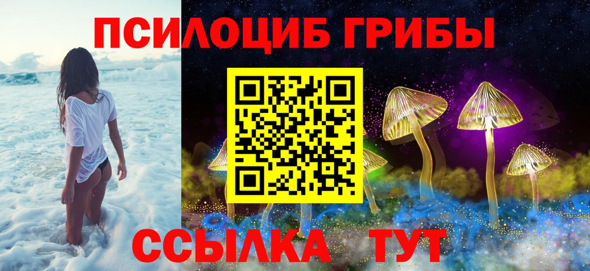 купить наркотики сайты  Вход с VPN  Осинники  Галлюциногенные грибы Magic Shrooms  Псилоцибиновые грибы прущие грибы 