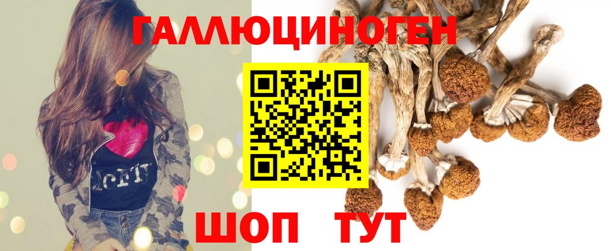 Канабис  ГАШИШ  Кетамин  COCAIN  A-PVP СОЛЬ   Осинники  Вход с VPN  МЕФ  